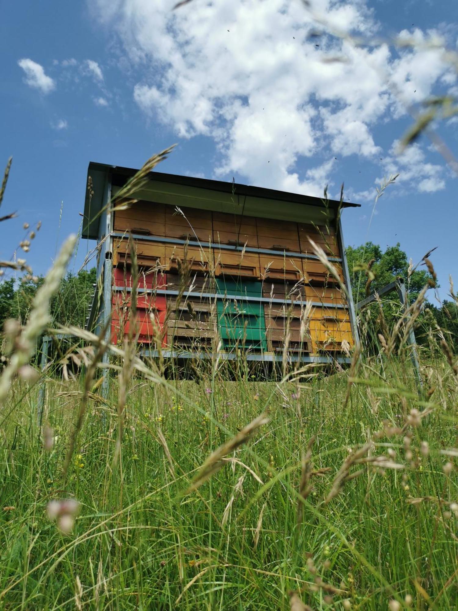 Farm Stay Pri Cepcovih Golac Екстериор снимка